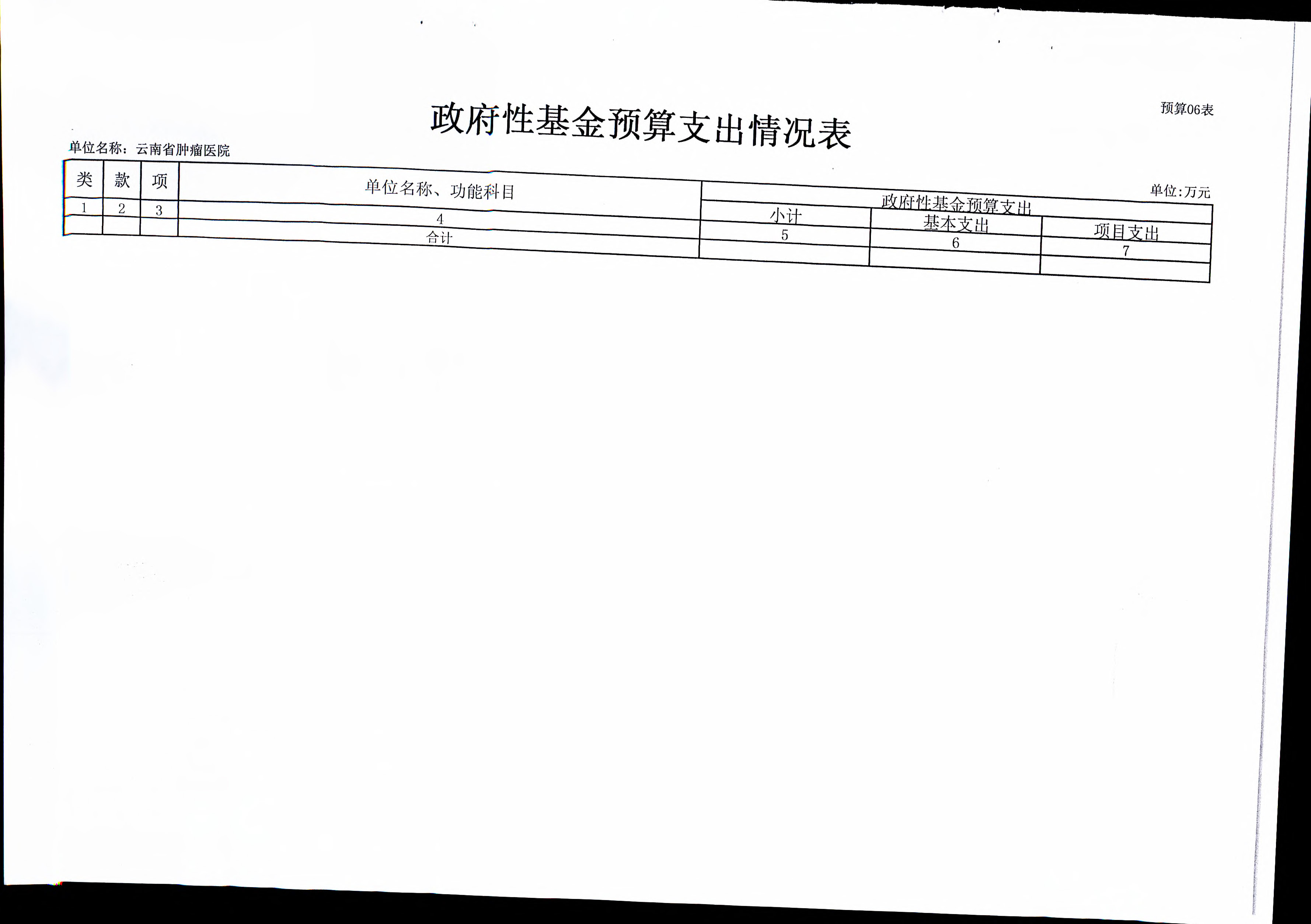 《云南省卫生健康委关于云南省肿瘤医院2019年部门预算的批复》（云卫规财发【2019】1-10号_页面_17